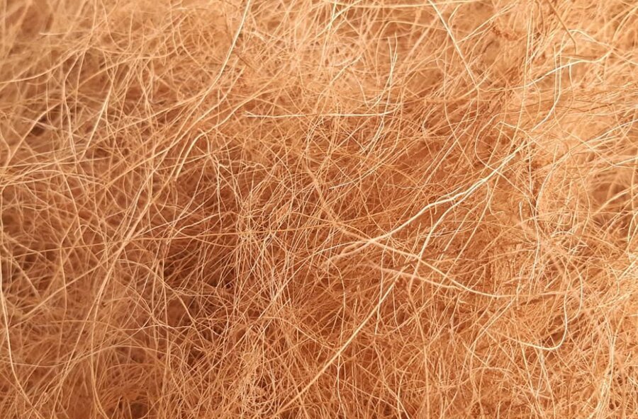 Close-up of raw coir fibre texture